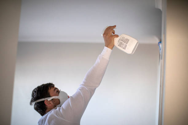 Best Toxic Mold Removal  in Cold Spring, NY