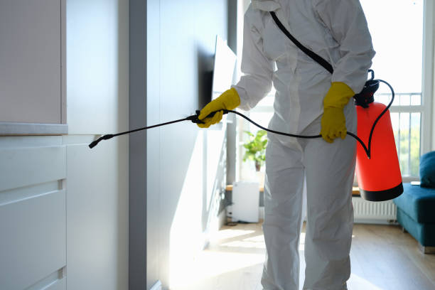 Best Toxic Mold Removal  in Cold Spring, NY